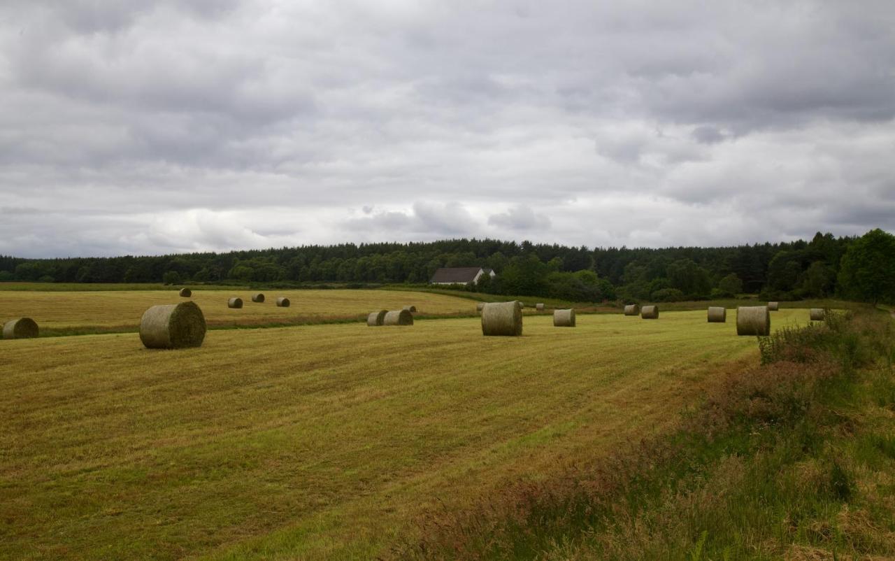 Clashmore Wood Dornoch Extérieur photo