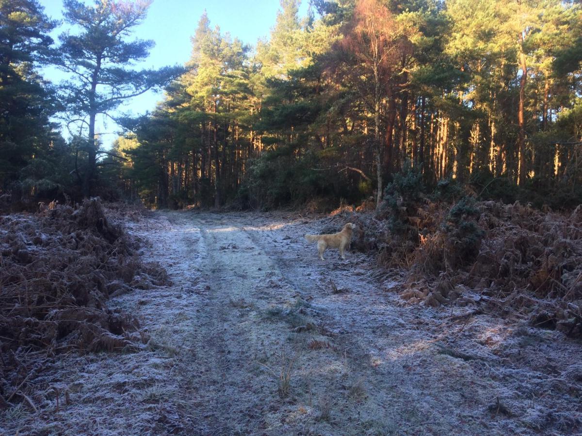 Clashmore Wood Dornoch Extérieur photo